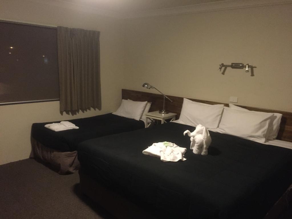 Murray Valley Motel Wodonga Exteriör bild